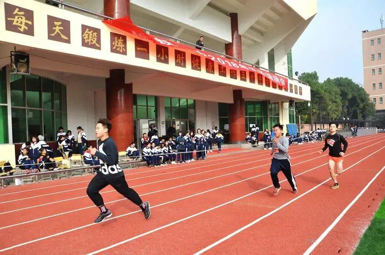 网球拍的不同参数价格区别